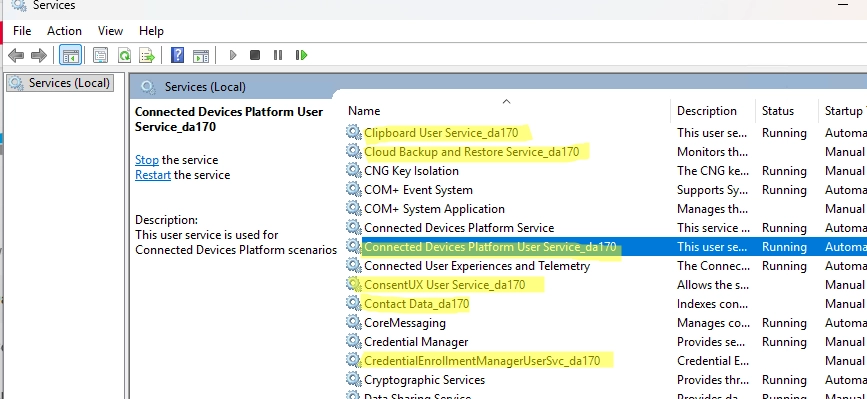 A Guide to Managing Per-User Services in Windows