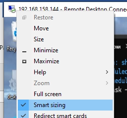 Optimizing DPI Scaling and Font Size for Enhanced RDP (RDS) Experience